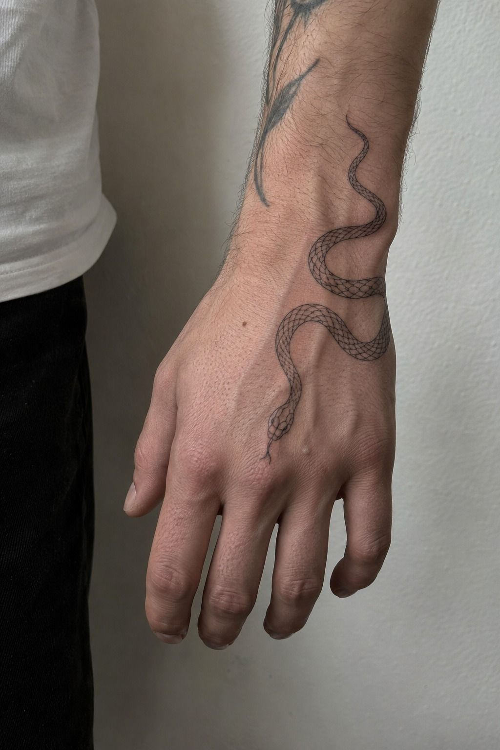 Playful Miniature Snake Across the Hand